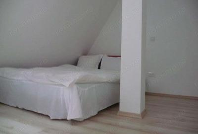 Predeal-Vila de vacanta pretabil pensiune - 3