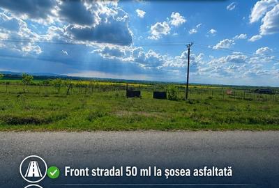 Teren de 5000 mp, în Central - 3