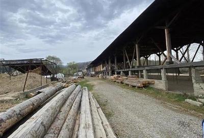 HALE-DEPOZIT DE VANZRE SI TEREN 10000 mp  AGAS jud.Bacau - 4