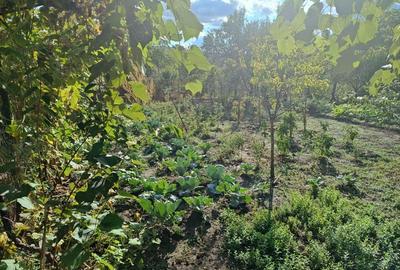 Casa Zona Calimanesti Valcea - 2