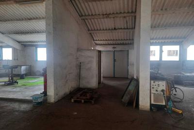 Spațiu comercial, de 2,300 mp, în Panic - 7