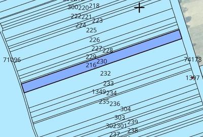 Teren Nucet 8018m Deschidere 21m la DN71 Targoviste - 6