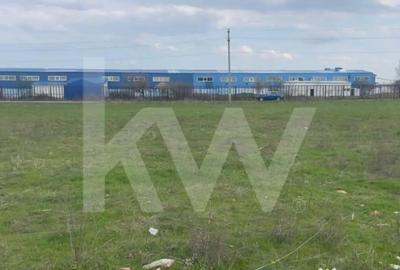 Teren în Cârcea - 6