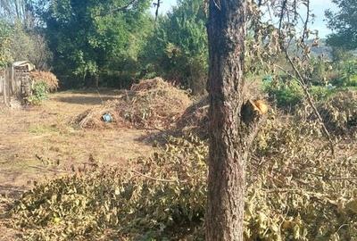 CASĂ DE VÂNZARE 2 CAMERE\ ZĂVOI\ JUD. CARAȘ-SEVERIN - 7