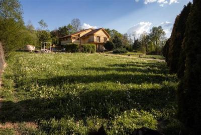 Casă cu 13 camere cu Teren 2595 Mp în Calea Caransebeșului - 7