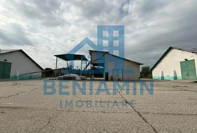 Depozit Cereale-3 Silozuri-Aut ISU-31.000mp-Perfect functional-Olt - 3