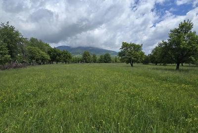 Teren intravilan - 2 minute de centru Prundu Bargaului - ... - 3
