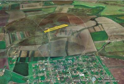 Teren agricol 5 ha, extravilan, 52 m deschidere la ?osea - 1