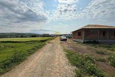 Teren de 500 mp, în Crihan - 2