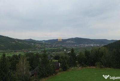 Teren de 5023 mp, în Voroneț - 18