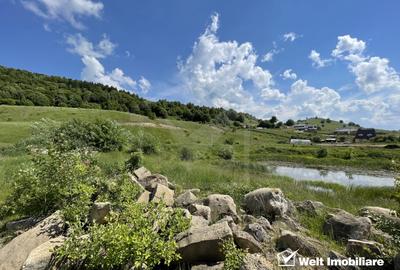 Teren superb in Salicea, 1170 mp, PUZ, drum, apa si curent, zona "La Mesteceni" - 5