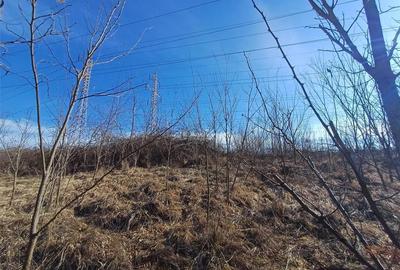 Resita, Teren Extravilan, Pretabil pentru Fotovoltaice, 17265 Mp., 2 Euro Mp., Km. 8 - 7