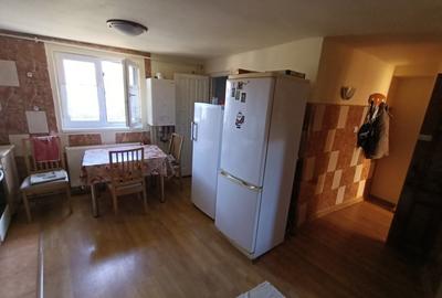 Casa individuala 2 camere in Gruia, teren 124 mp, utili 64 mp - 4