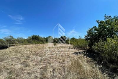 Casa cu teren 3407 mp, la asfalt, Seceani, 26 km de Timisoara. Casa cu teren 3407 mp, la asfalt, Seceani, 26 km de Timisoara. - 6