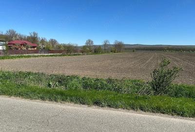 Teren de 10400 mp, în Bălteni - 1