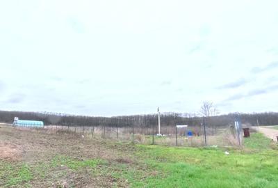 Snagov - Ghermanesti - 9247 mp teren intravilan - deschidere 33 ml - langa padur - 3