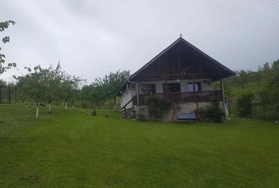 Casă cu 2 camere cu Teren 7500 Mp în Sulighete - 1