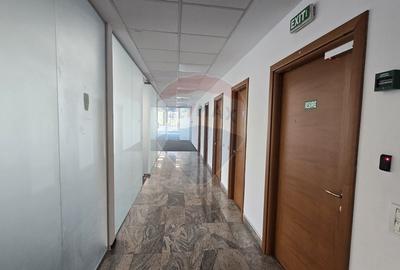 Spatiu de birouri luminos in zona Virtutii - 7