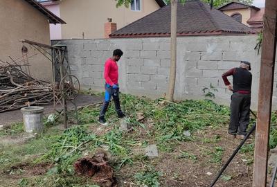 Casă cu 4 camere decomandat în Exterior Vest - 5