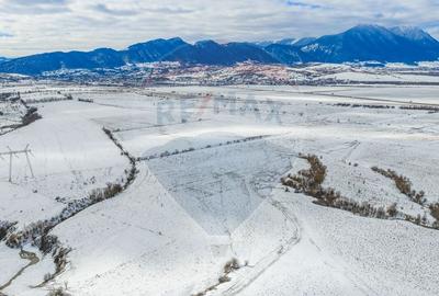 Teren agricol extravilan de 8329 mp, în Glăjărie - 7