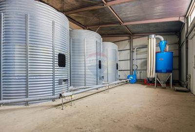 Teren Construcții intravilan de 43708 mp, în Scobâlțeni - 37