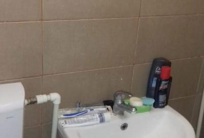 Garsonieră decomandată în Valea Rosie - 1