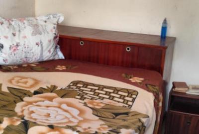 Apartament 2 camere confort 2 (sup. totala 40,4 mp), Viziru - 4