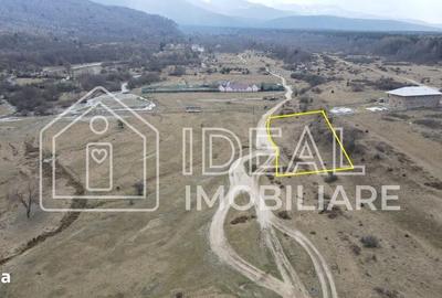 Spațiu comercial, în Cârțișoara - 1