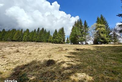 Teren de 3040 mp, în Beliș - 5