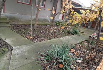 Casa batraneasca Ceamurila de jos - 7