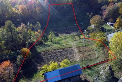 Teren de 5404 mp, în Vernești - 14