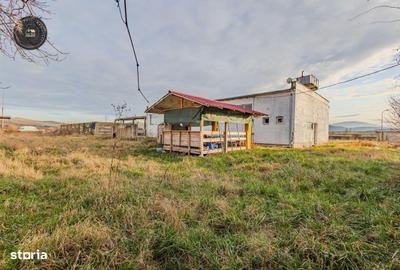 Spațiu comercial, de 5,390 mp, în Bod - 10
