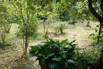 Casă cu 5 camere cu Teren 605 Mp în Central - 1