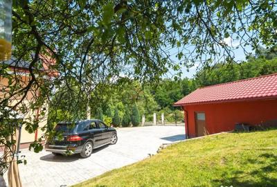 Casă cu 4 camere cu Teren 1500 Mp în Vulcan - 6