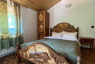 Pensiune 8 dormitoare Gureni, Gorj - 2