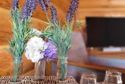 FILM! Resedinte montane,mobilate,echipate, jacuzzi,piscina,pretios areal,Sambata - 35