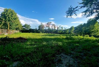 Teren 1,749mp Piatra-Neamt / Strada Zambilelor - 10