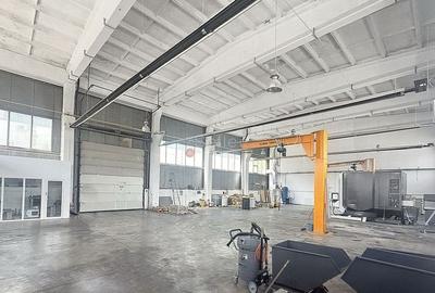 Spatiu Productie Logistica si  Depozitare Spatiu Productie Logistica si  Depozitare - 2