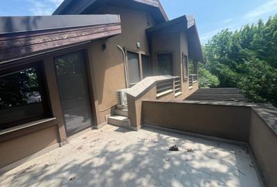 ANDRONACHE | Vila 4 Camere | Garaj | Curte Verde | Ciubar & BBQ - 23