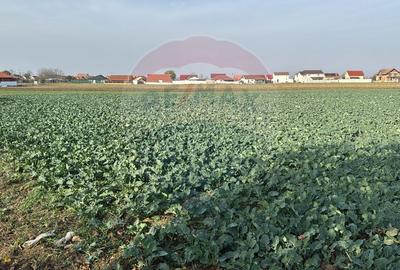 Teren intravilan de vanzare, 11.600 mp - Tarian, Girisul de Cris - 5