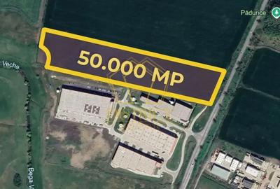 Teren Construcții intravilan de 4000 mp, în Sânandrei - 2