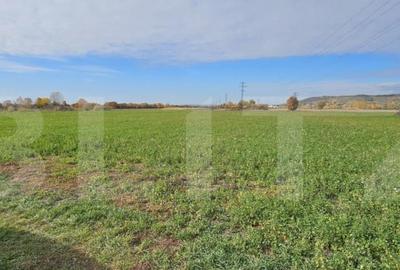 Teren de 1400 mp, în Răzvad - 4