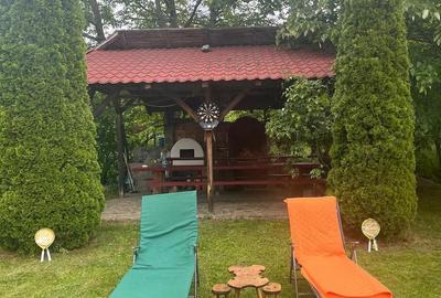 Casă cu 4 camere cu Teren 6000 Mp în Cornu - 9