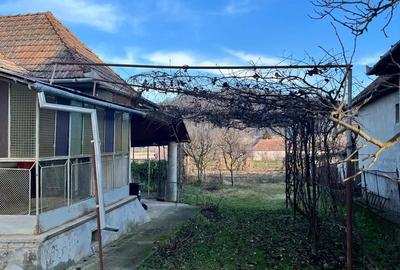 Casă cu 3 camere cu Teren 1700 Mp în Râciu - 5