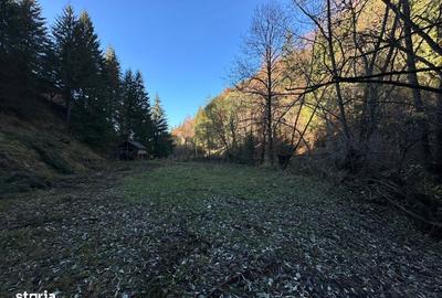 Teren de 2882 mp, în Dâmbovicioara - 14