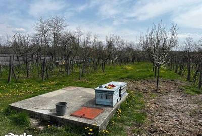 Casă cu 4 camere cu Teren 125 Mp în Central - 3