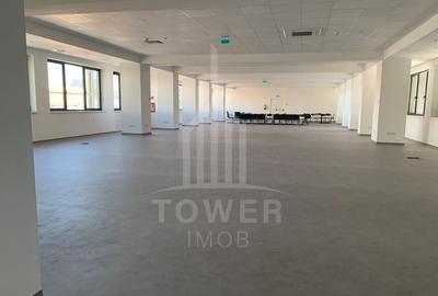 Birou, 430 mp în Turnișor