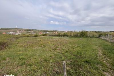 Spațiu comercial, în Paleu - 3