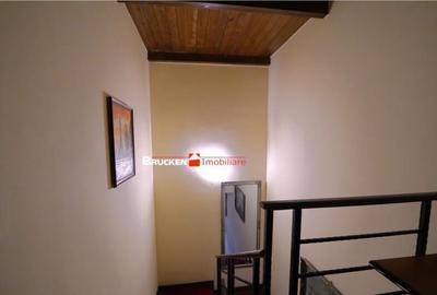 Casa primitoare in cartierul Iosia - 12