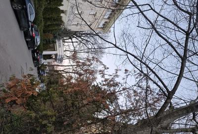 Garsonieră semidecomandată în Fabric - 1